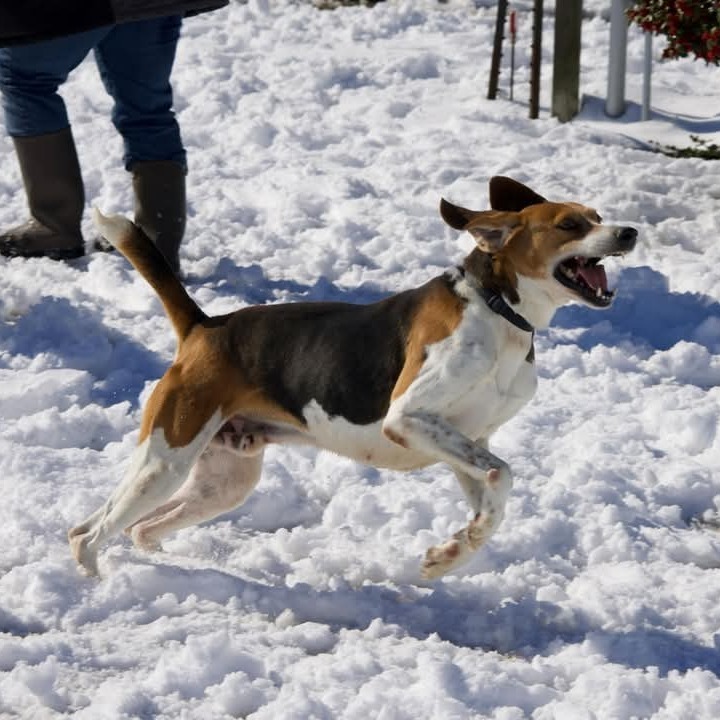 Tucker
