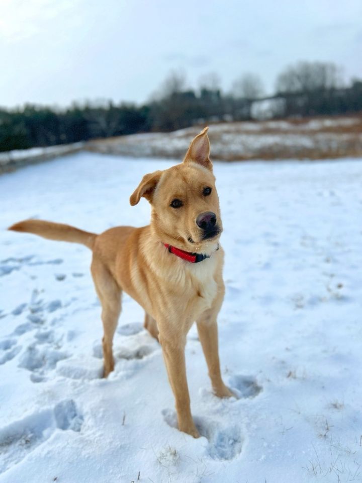 Sammy 2