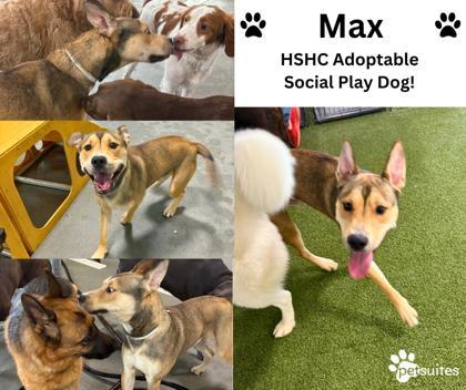 Max