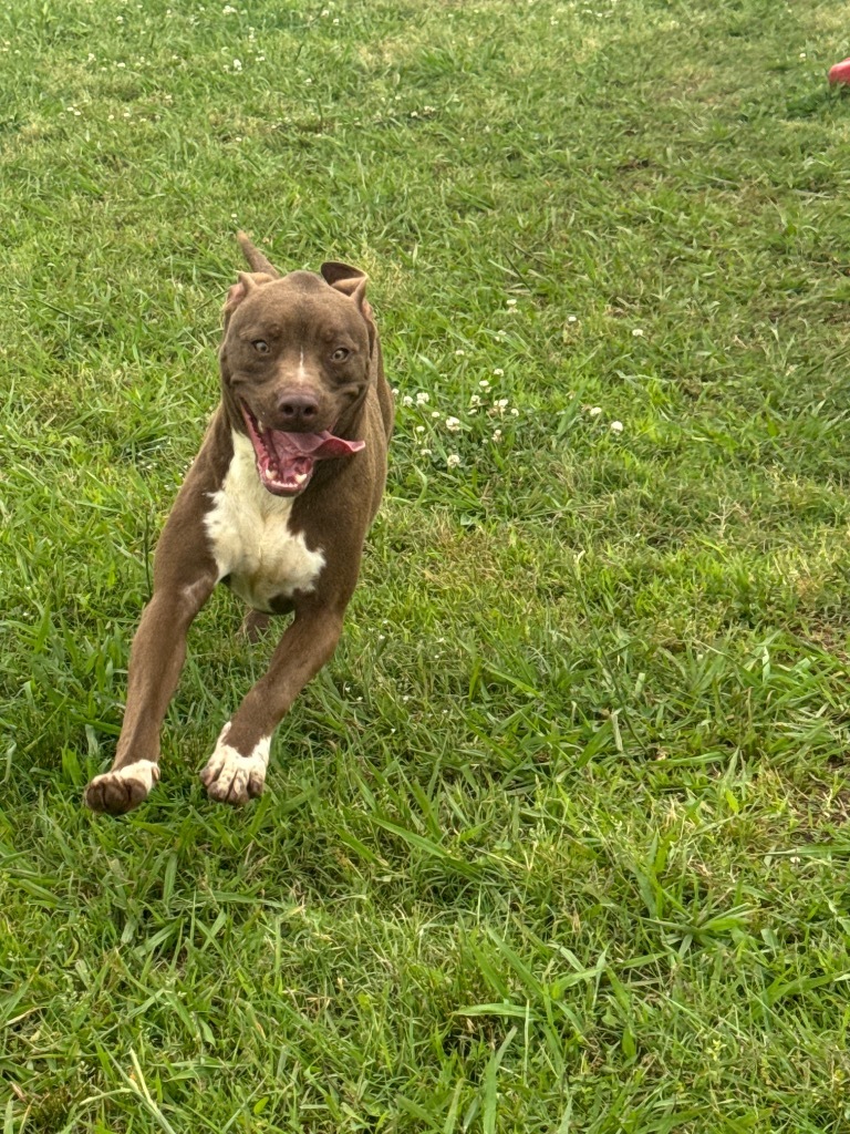 Coco