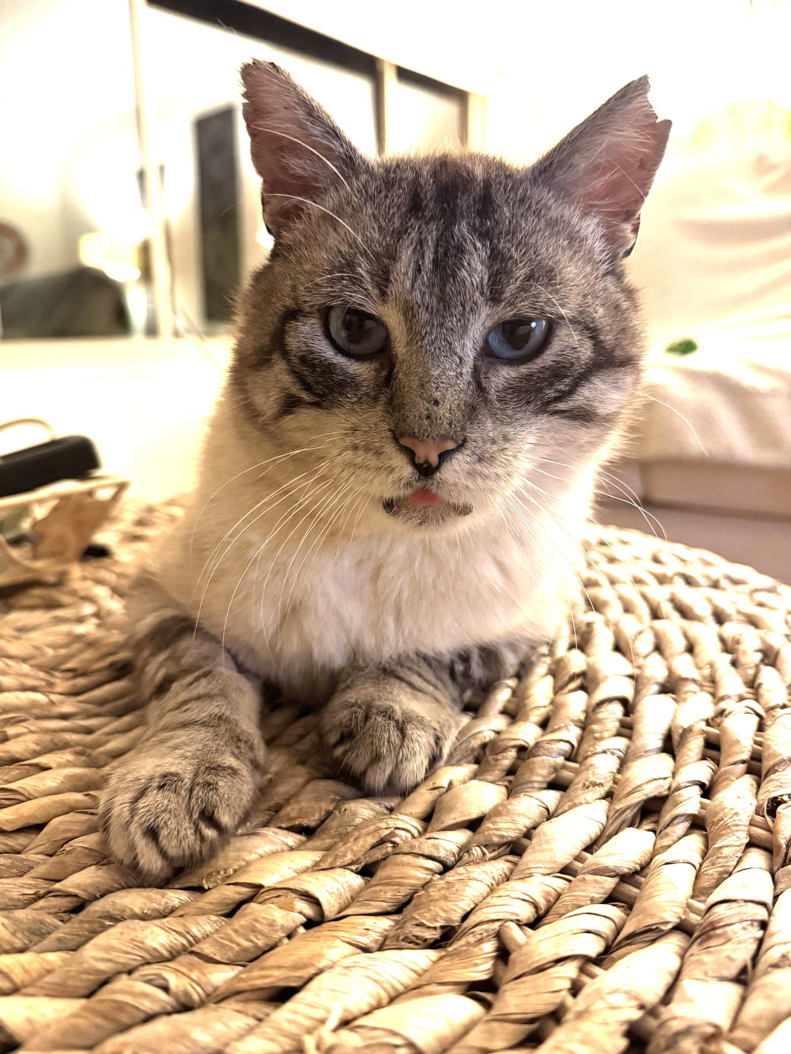 Zeus