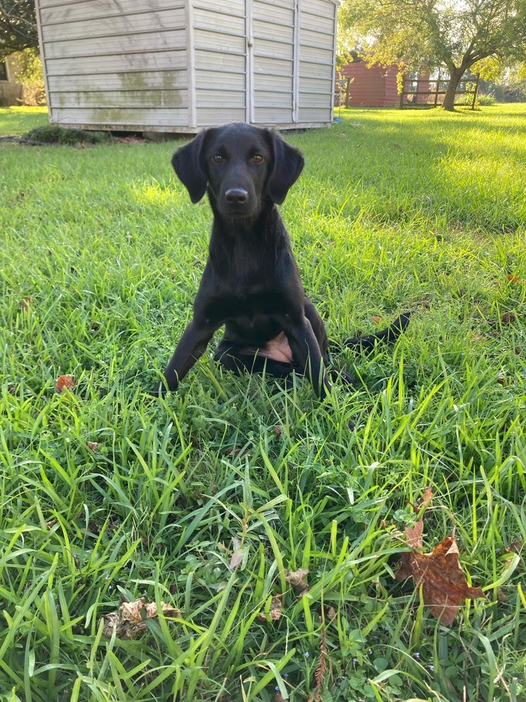 Molly