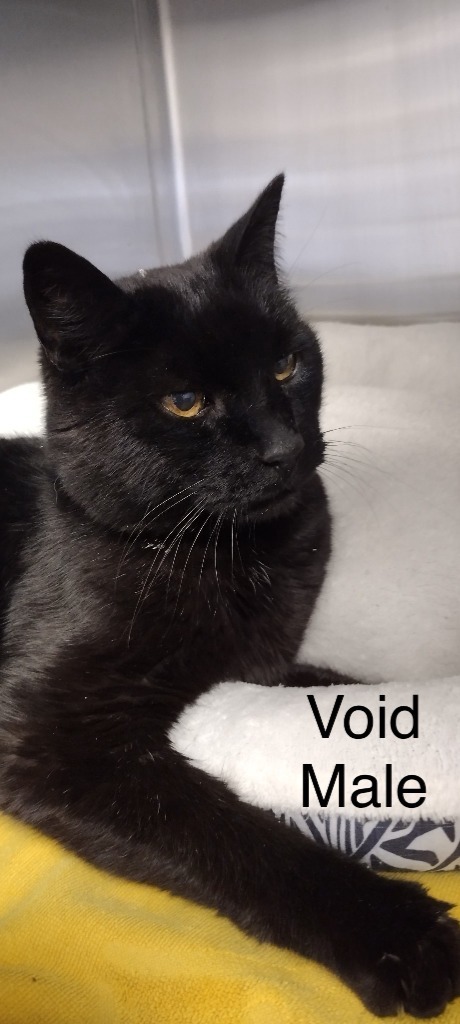 Void