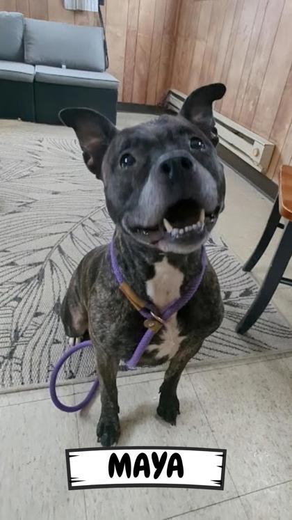 Maya