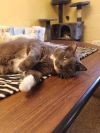 68 photo 2