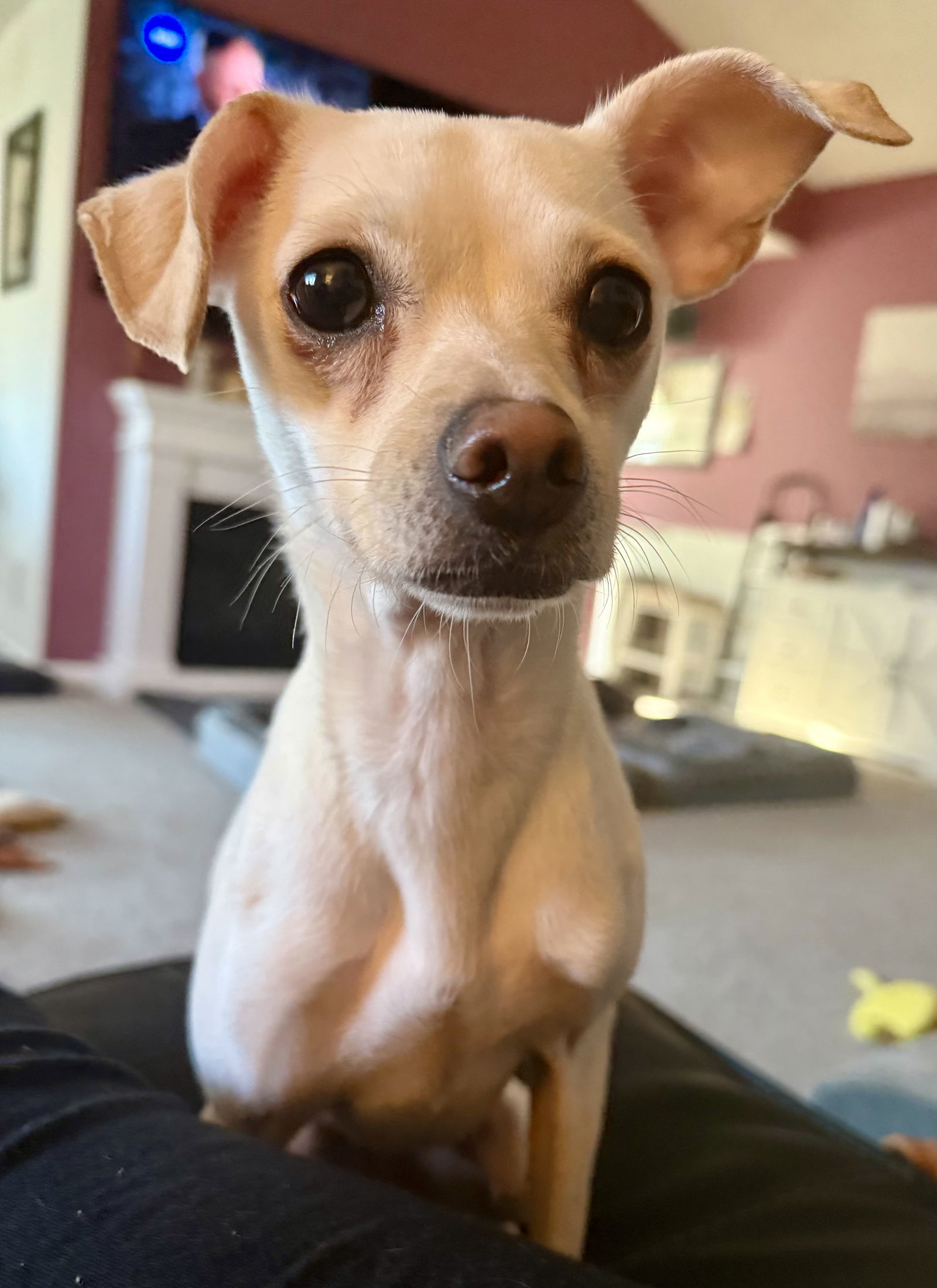 Ramona