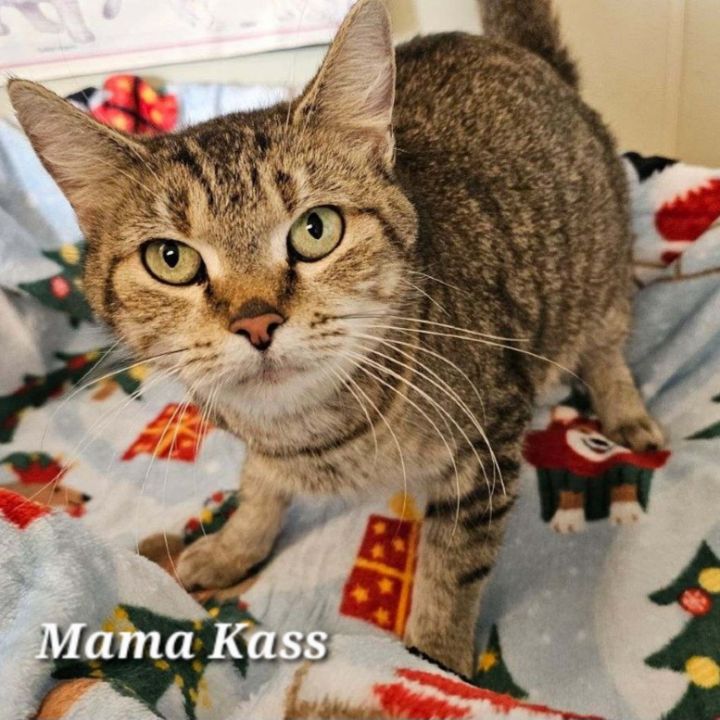 Mama Kass 4