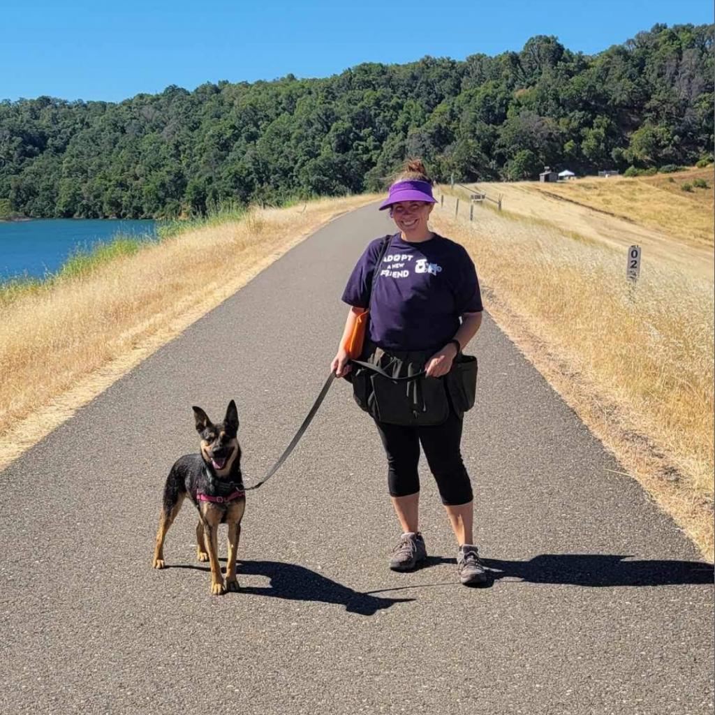 Broder, an adoptable Mixed Breed in Redwood Valley, CA, 95470 | Photo Image 4