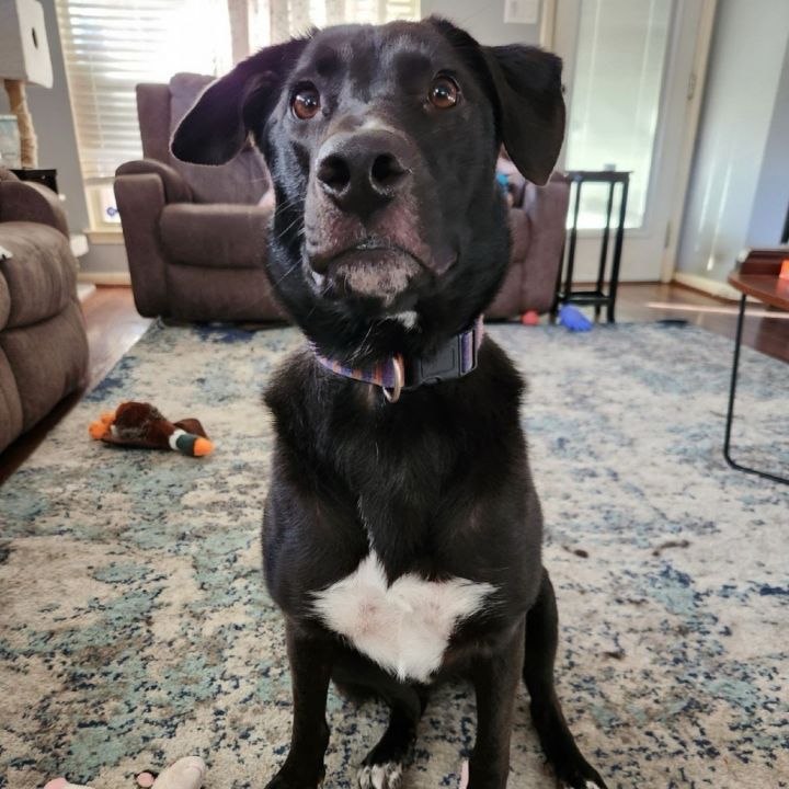 winnie 1