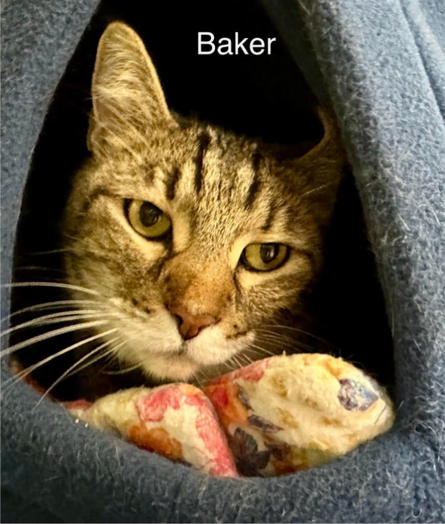 Baker