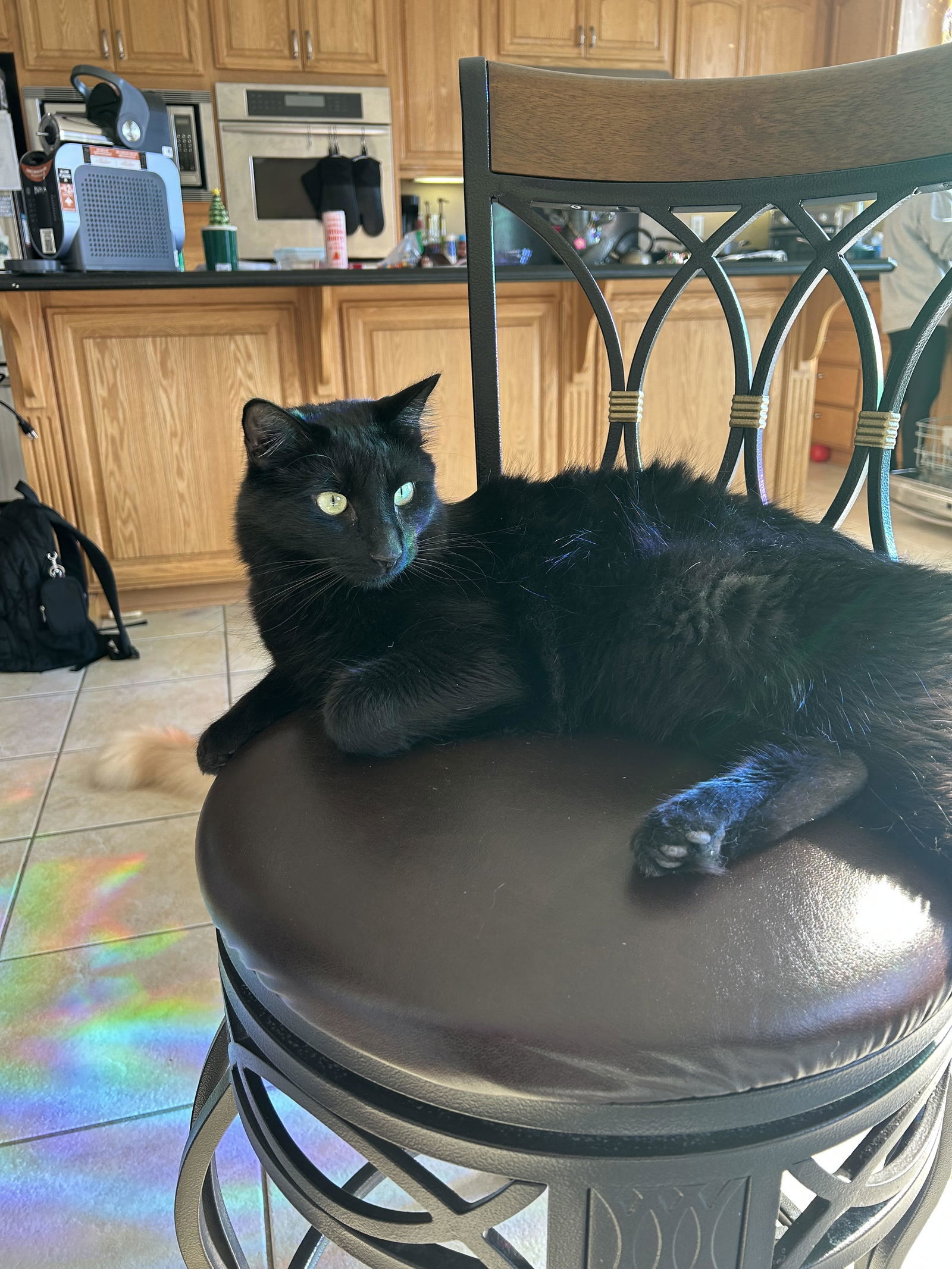 Midnight (Napa CS)