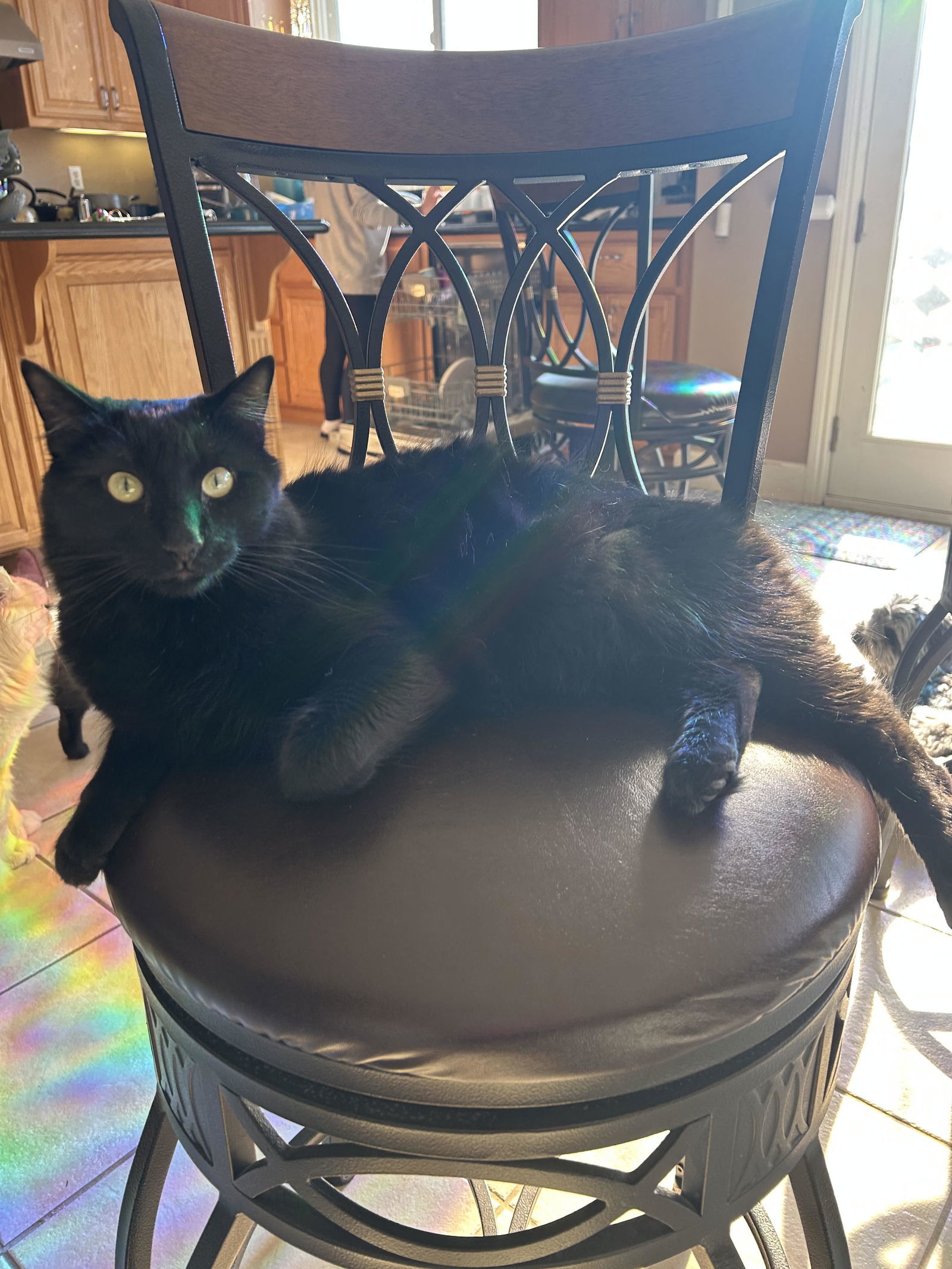 Midnight (Napa CS)