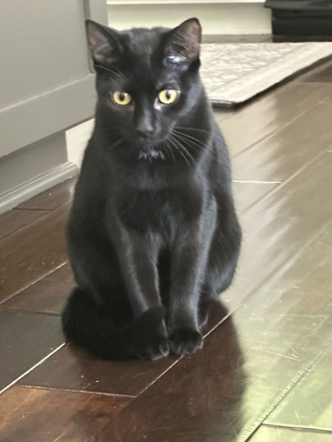 Luna