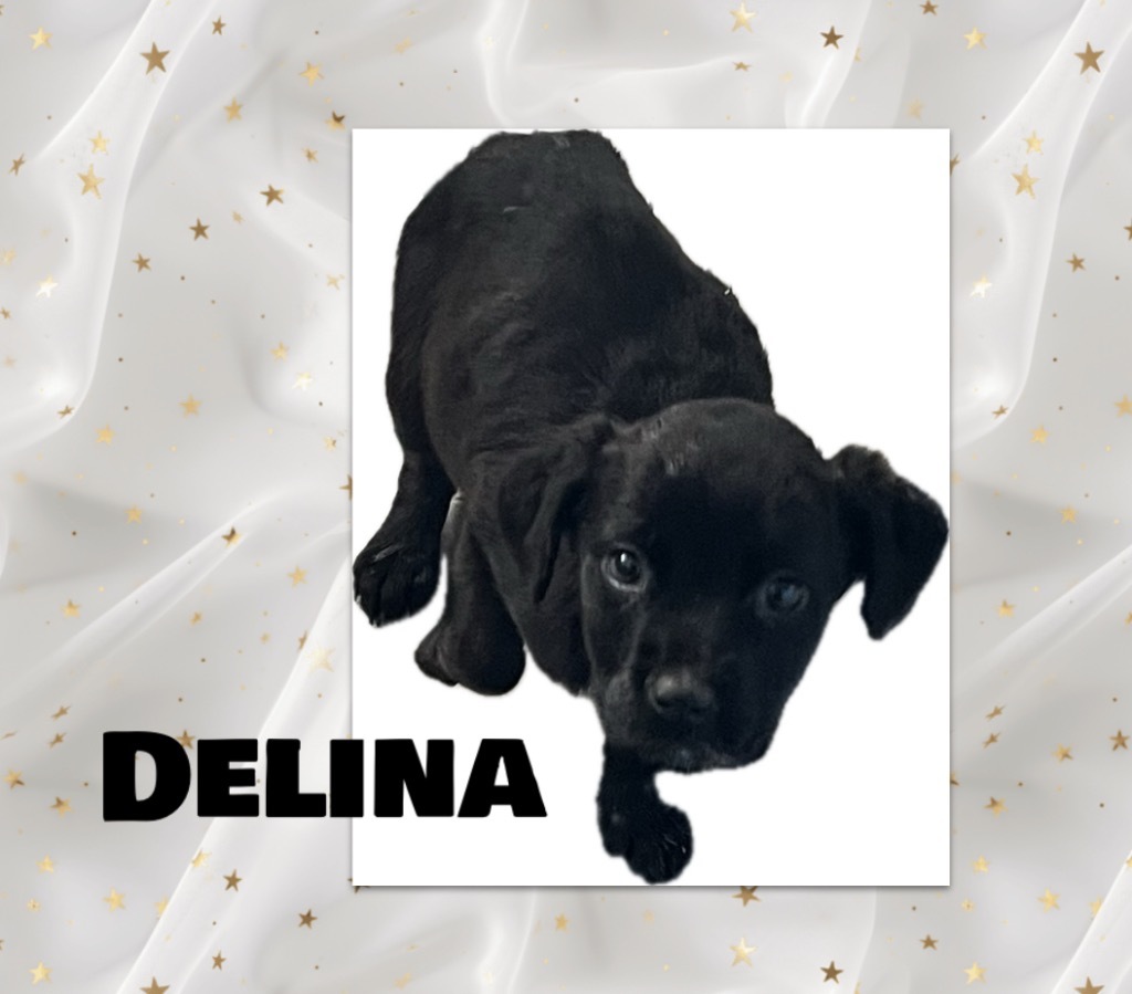 Delina