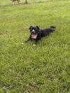 Nessa photo 6