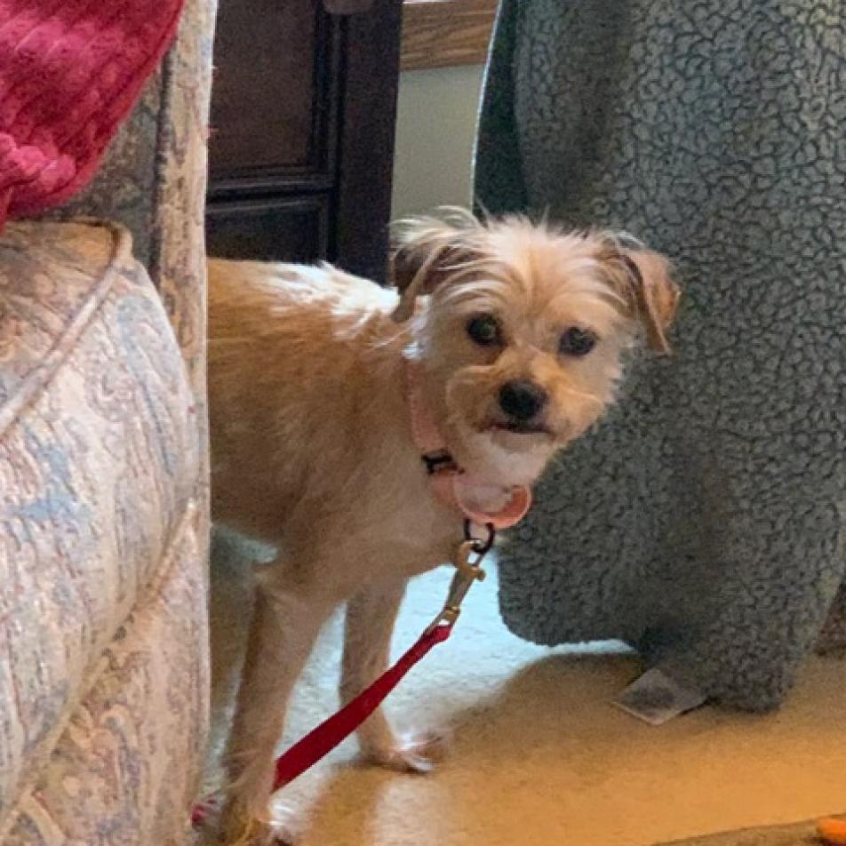 Rosie