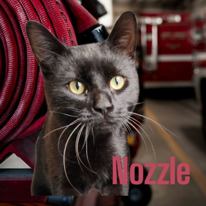 Nozzle 1