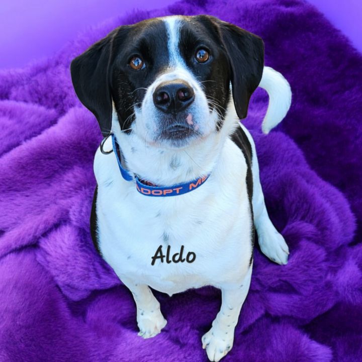 Aldo (FKA Tucker) 2