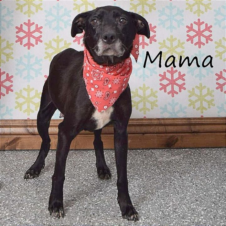 Mama 1