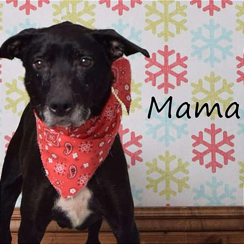 Mama 3