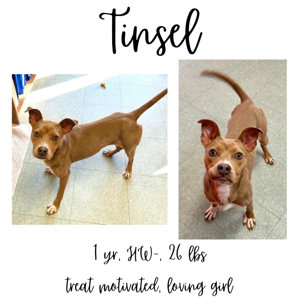Tinsel