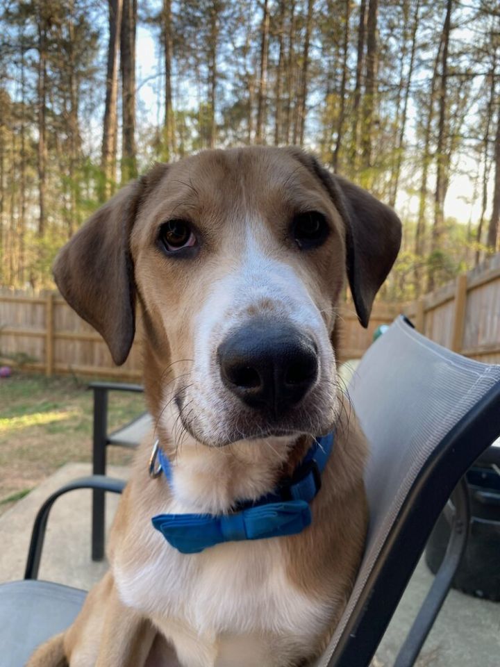 Cooper 1