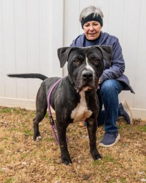 Tither- IN FOSTER