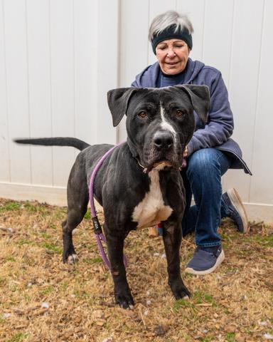 Tither- IN FOSTER