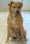 Max photo 1