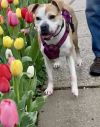 Tazzie photo 1