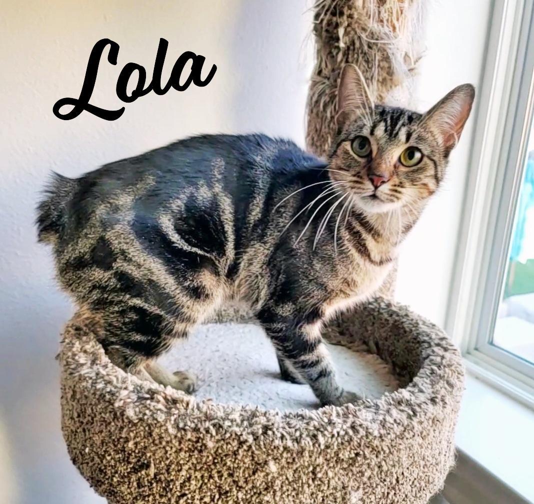 Lola #roly-polies-for-attention