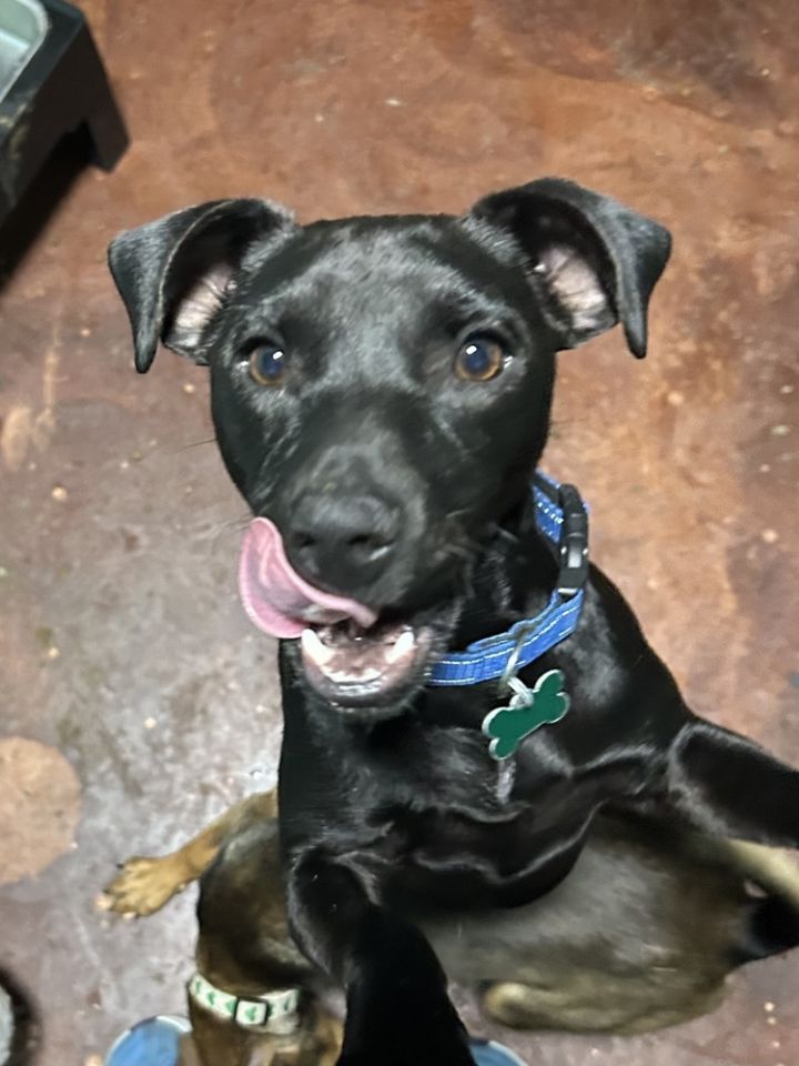 Leroy 1