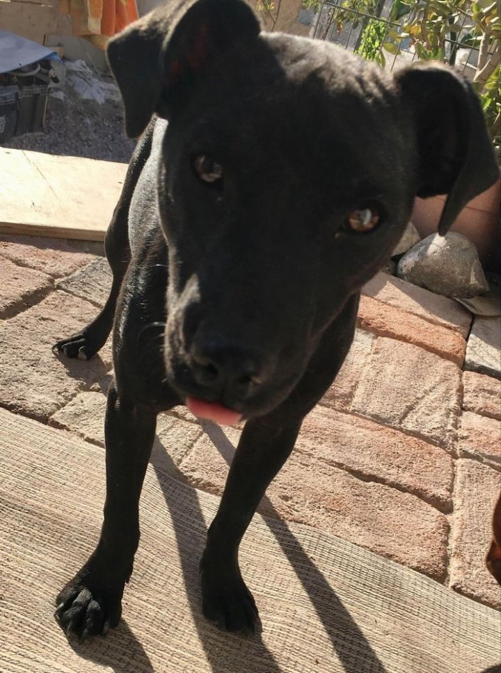 Leroy 5