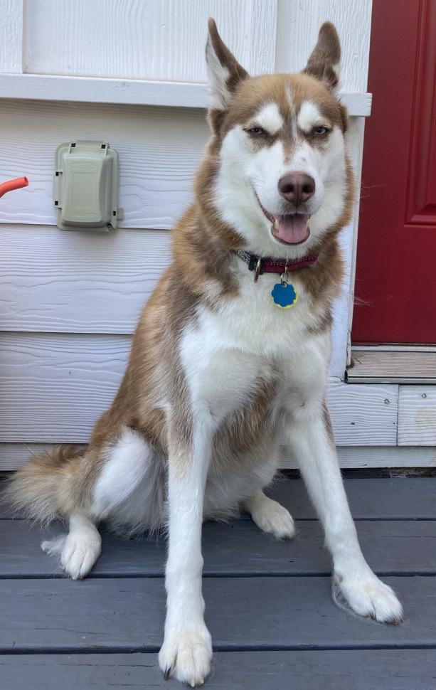 Lucy 2