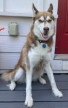 Lucy photo 2