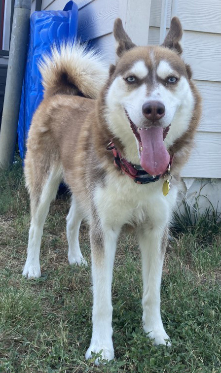 Lucy 5