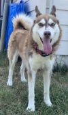 Lucy photo 5