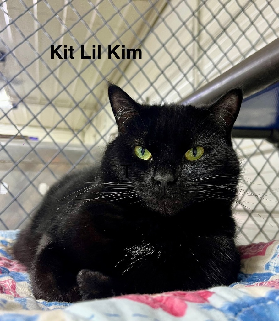 Kit-Lil' Kim