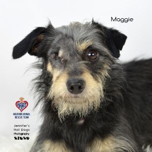 Maggie