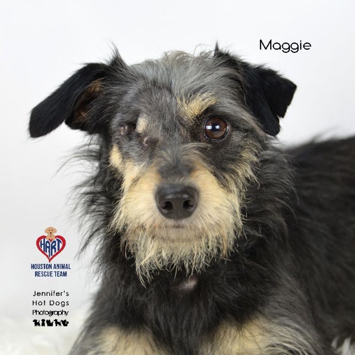 Maggie 1