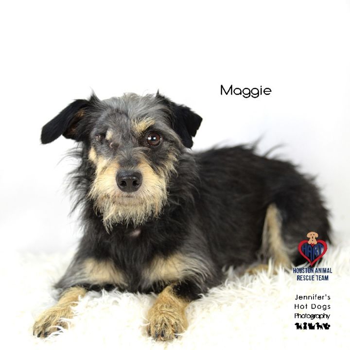 Maggie 2