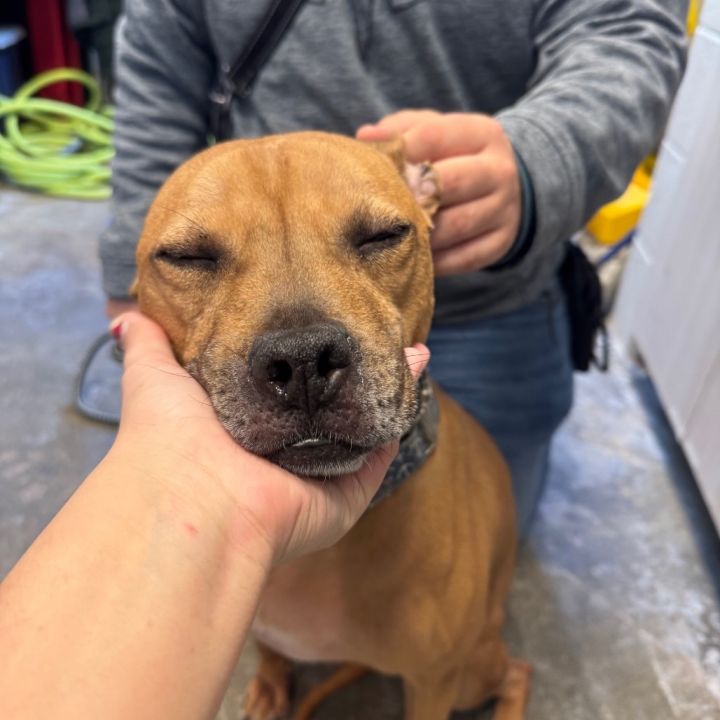Nala 3