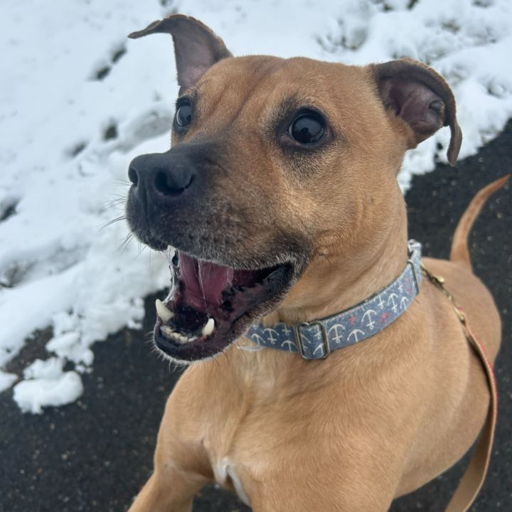 Nala 6