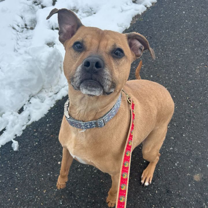 Nala 5