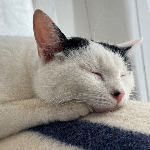 Luna 2