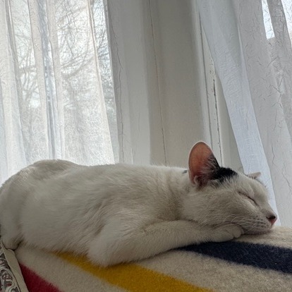 Luna 3