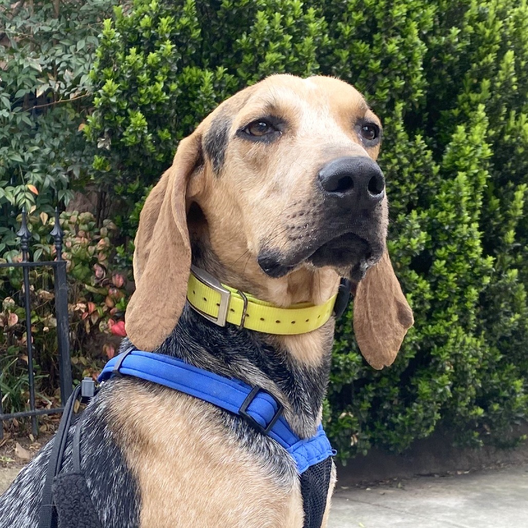 Duncan