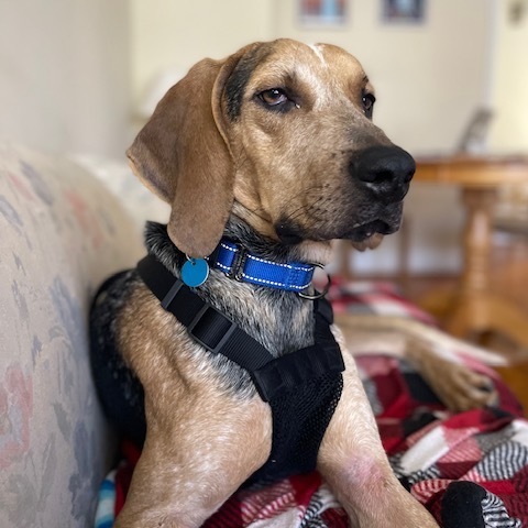 Duncan