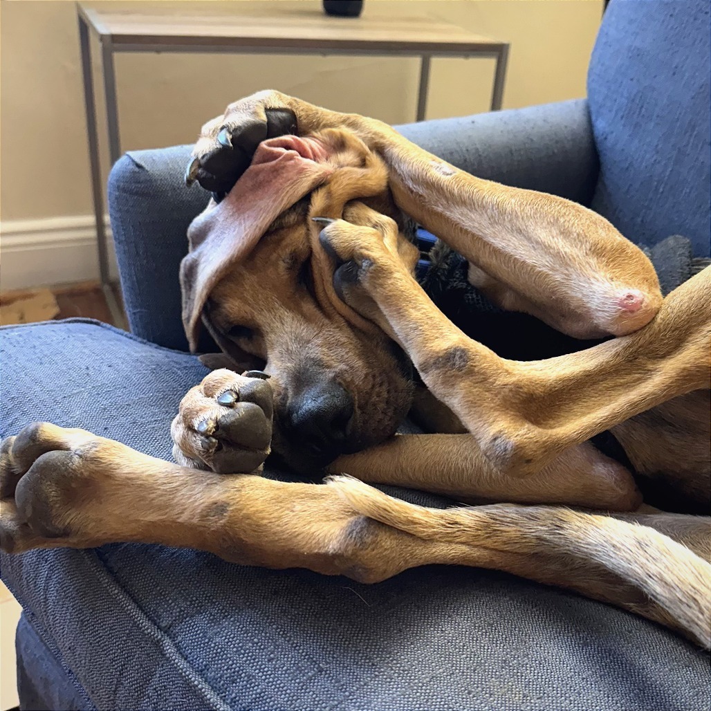 Duncan