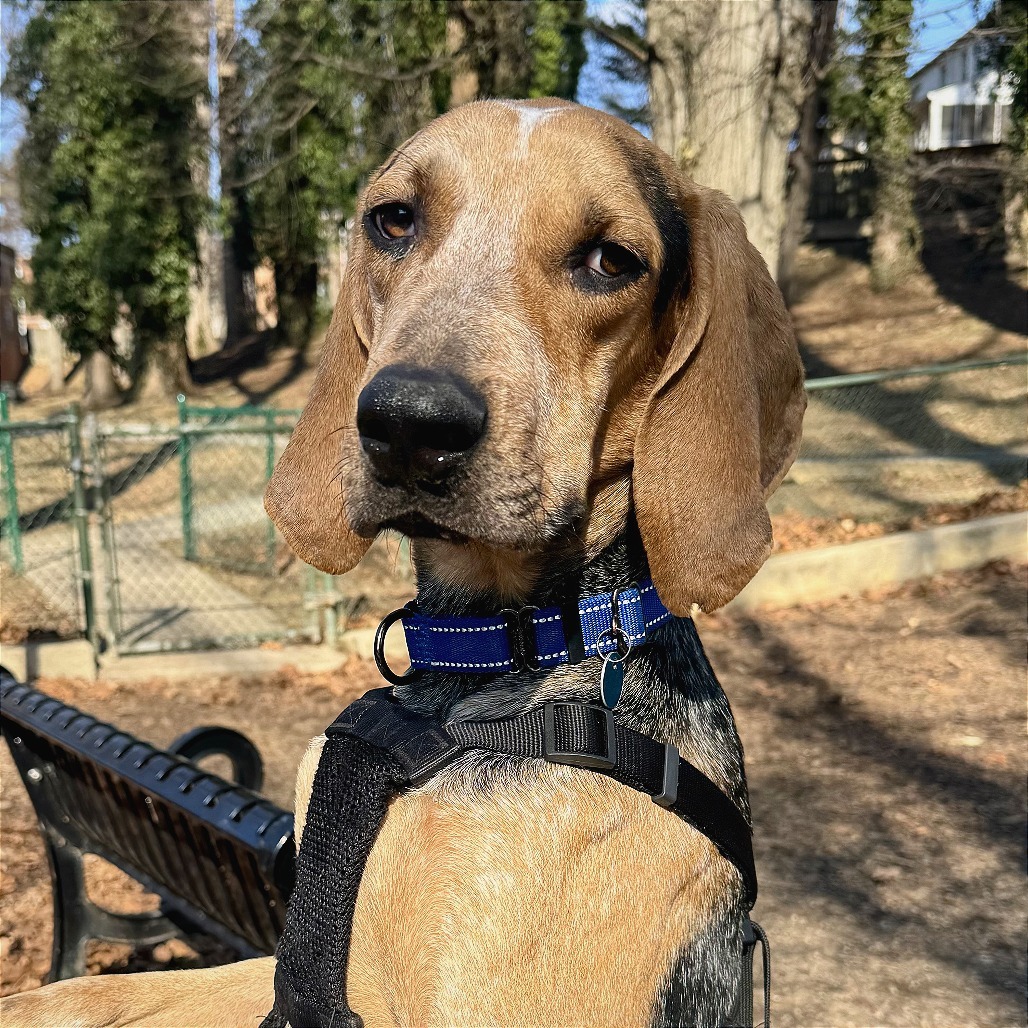 Duncan